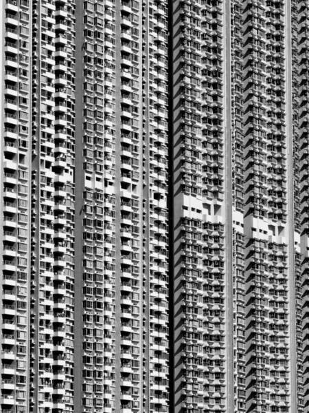 Photograph Ombeline Olmer Neighbours on One Eyeland